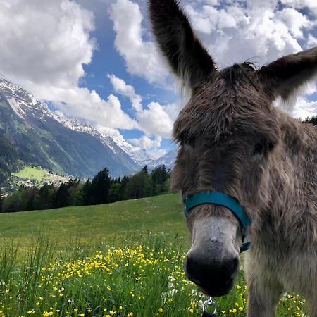 Chalet Riviere Du Bon Nant Location De 6 A 14 Personnes En Haute Savoie Сен-Жерве-Ле-Бэн Экстерьер фото