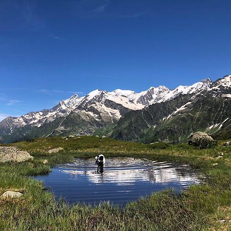 Chalet Riviere Du Bon Nant Location De 6 A 14 Personnes En Haute Savoie Сен-Жерве-Ле-Бэн Экстерьер фото