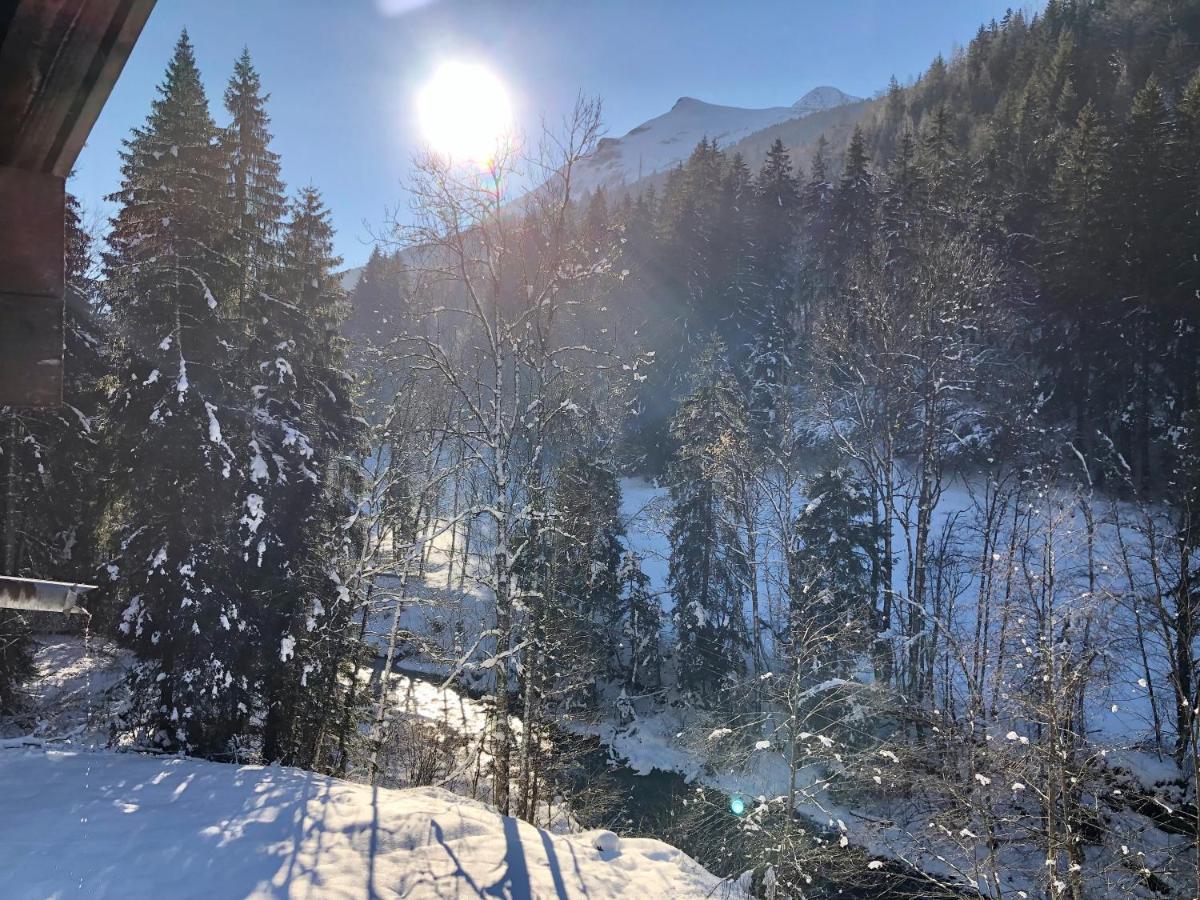 Chalet Riviere Du Bon Nant Location De 6 A 14 Personnes En Haute Savoie Сен-Жерве-Ле-Бэн Экстерьер фото