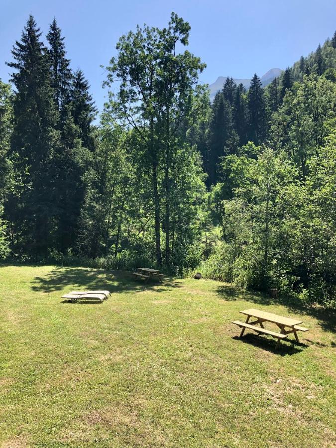 Chalet Riviere Du Bon Nant Location De 6 A 14 Personnes En Haute Savoie Сен-Жерве-Ле-Бэн Экстерьер фото