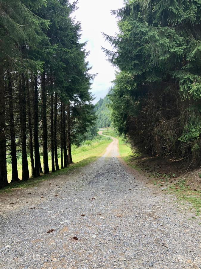 Chalet Riviere Du Bon Nant Location De 6 A 14 Personnes En Haute Savoie Сен-Жерве-Ле-Бэн Экстерьер фото