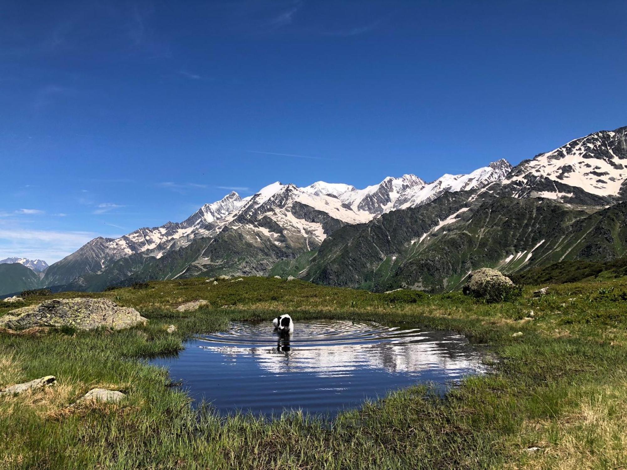 Chalet Riviere Du Bon Nant Location De 6 A 14 Personnes En Haute Savoie Сен-Жерве-Ле-Бэн Экстерьер фото