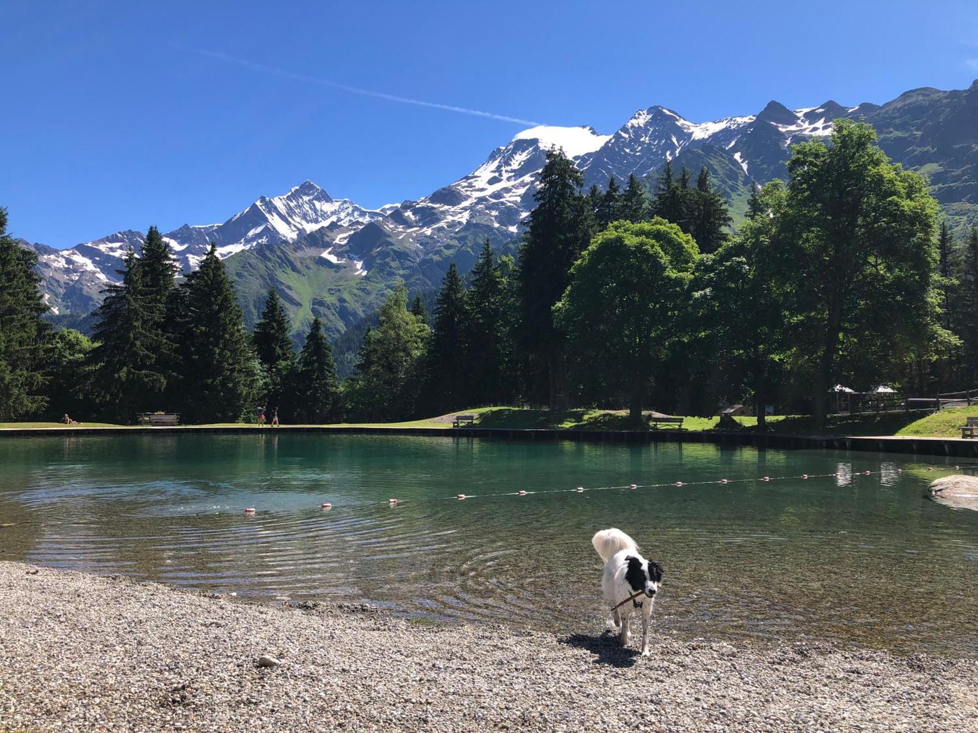 Chalet Riviere Du Bon Nant Location De 6 A 14 Personnes En Haute Savoie Сен-Жерве-Ле-Бэн Экстерьер фото