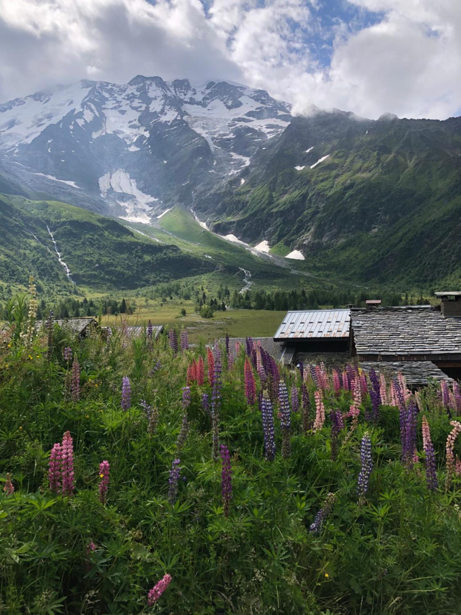 Chalet Riviere Du Bon Nant Location De 6 A 14 Personnes En Haute Savoie Сен-Жерве-Ле-Бэн Экстерьер фото