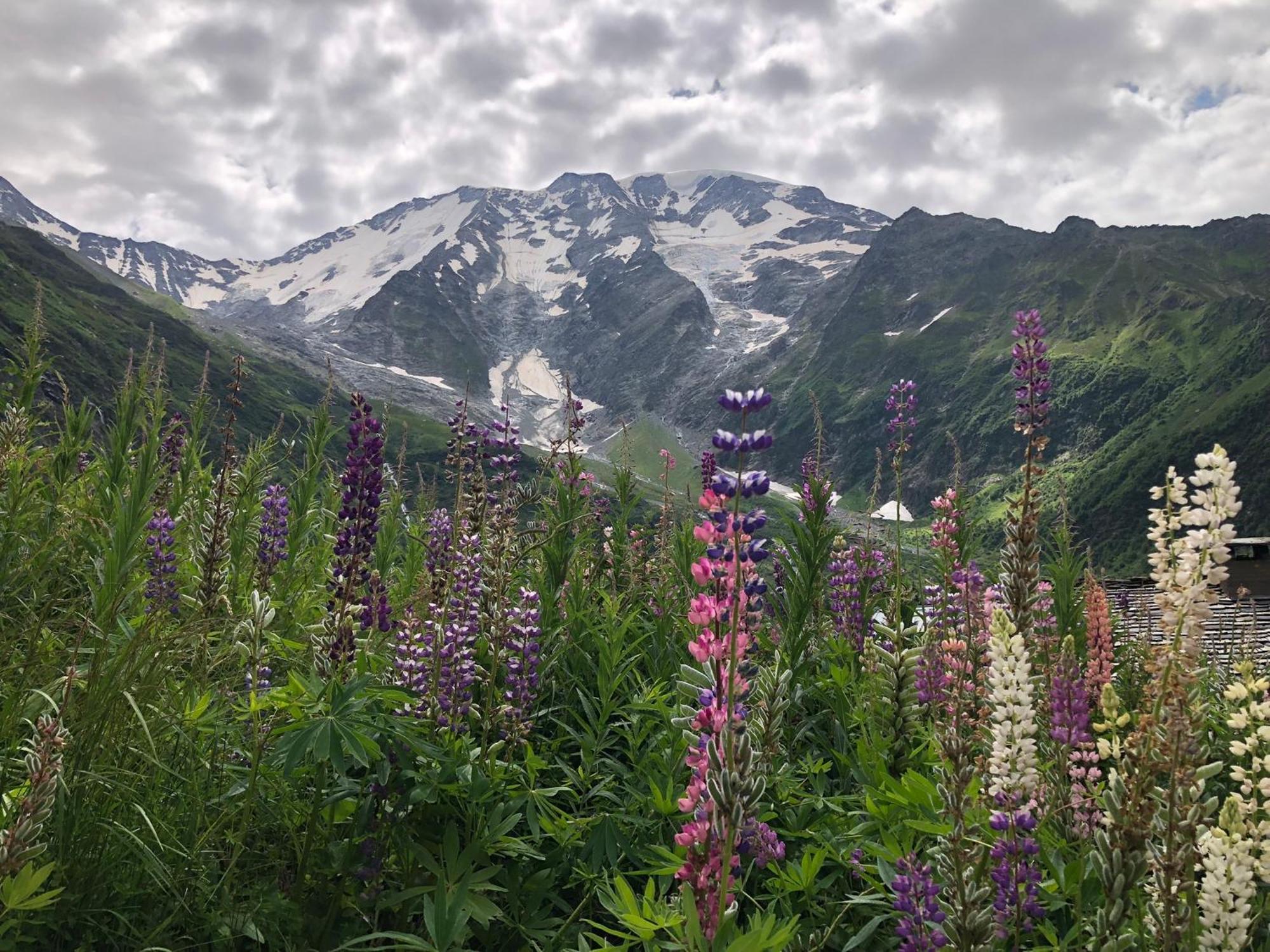 Chalet Riviere Du Bon Nant Location De 6 A 14 Personnes En Haute Savoie Сен-Жерве-Ле-Бэн Экстерьер фото